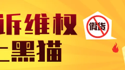 特朗普大举投资，阵营反响热烈：终极指南